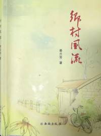 长篇小说 乡村风流