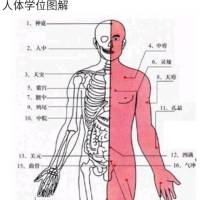 人体经络穴位大图册