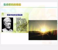 生命密码 万物皆数字专辑