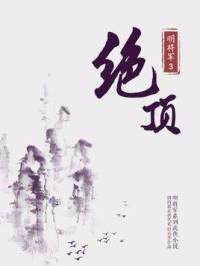 明将军系列3 绝顶