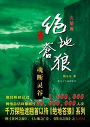 绝地苍狼（四）：魂断灵谷