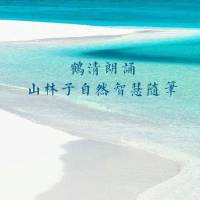 山林子自然智慧随笔