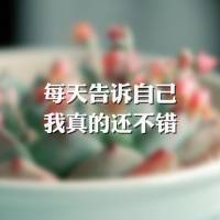 心若淡定，便是优雅